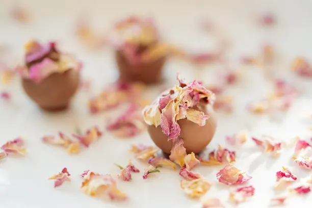 코인365벳 카지노 안드로이드/iOS 앱